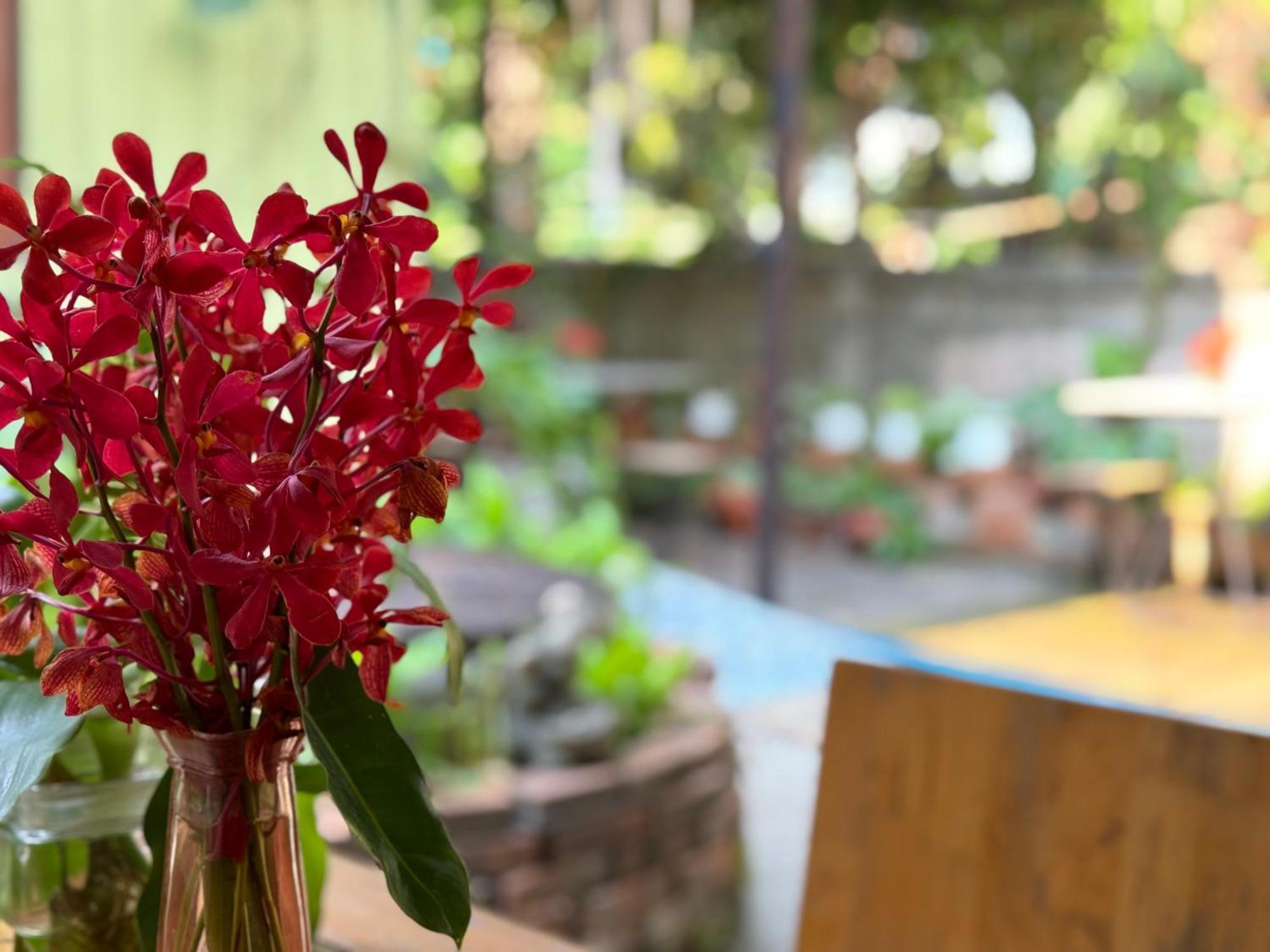 Retro At Phra Sing Guest House Chiang Mai Zewnętrze zdjęcie